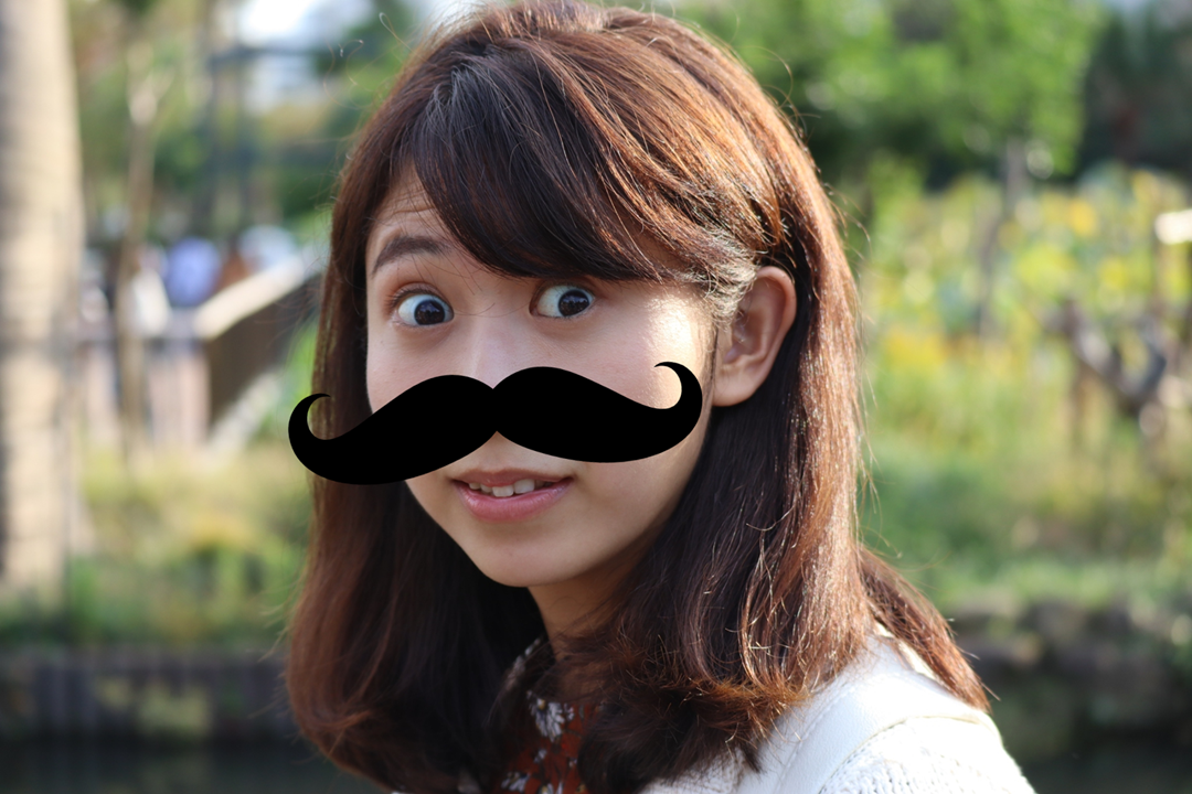 f:id:maharu0905:20191006001956p:plain f:id:maharu0905:20191006001956p:plain