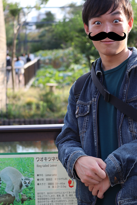 f:id:maharu0905:20191006002148p:plain f:id:maharu0905:20191006002148p:plain