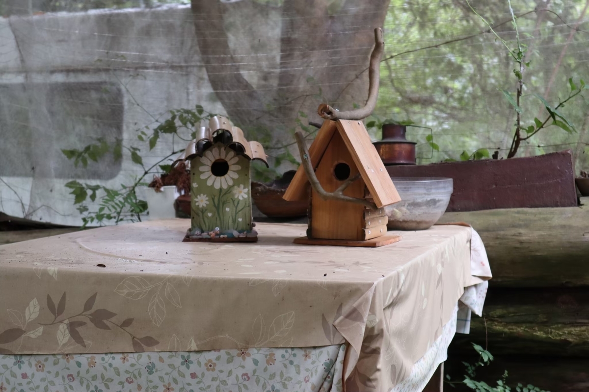 f:id:maharu0905:20191229192754j:plain