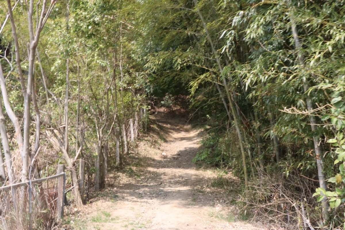 f:id:maharu0905:20191229205809j:plain