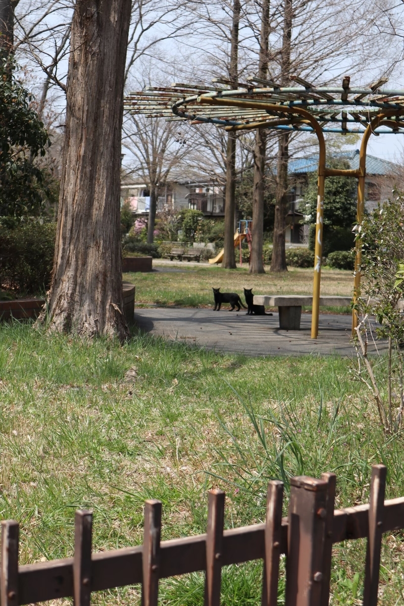 f:id:maharu0905:20200101132032j:plain