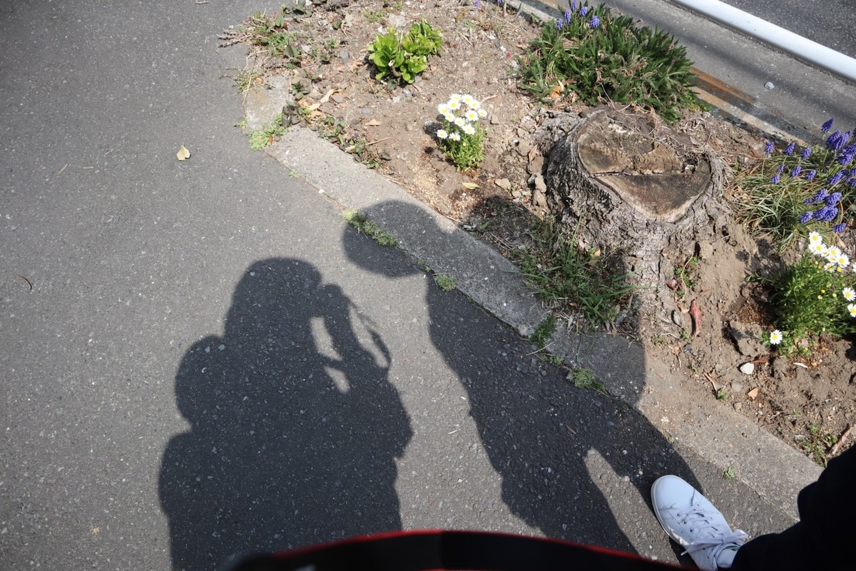 f:id:maharu0905:20200101132046j:plain