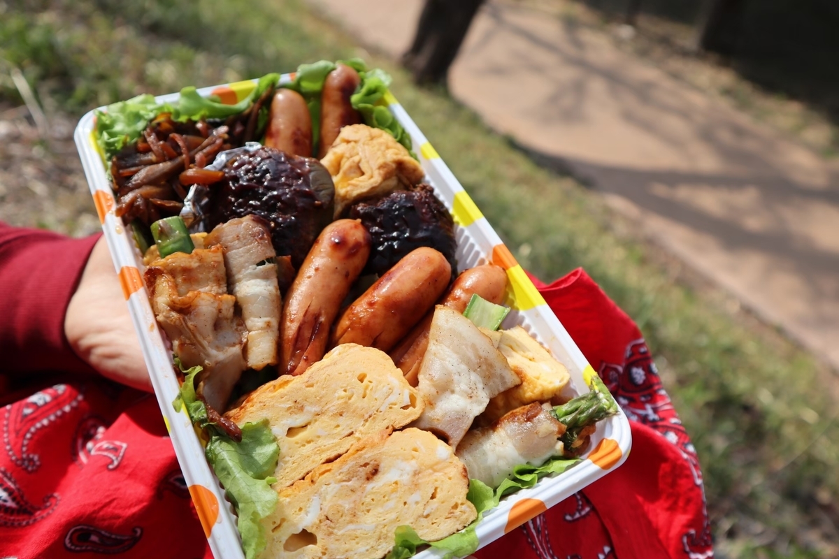 f:id:maharu0905:20200101132158j:plain