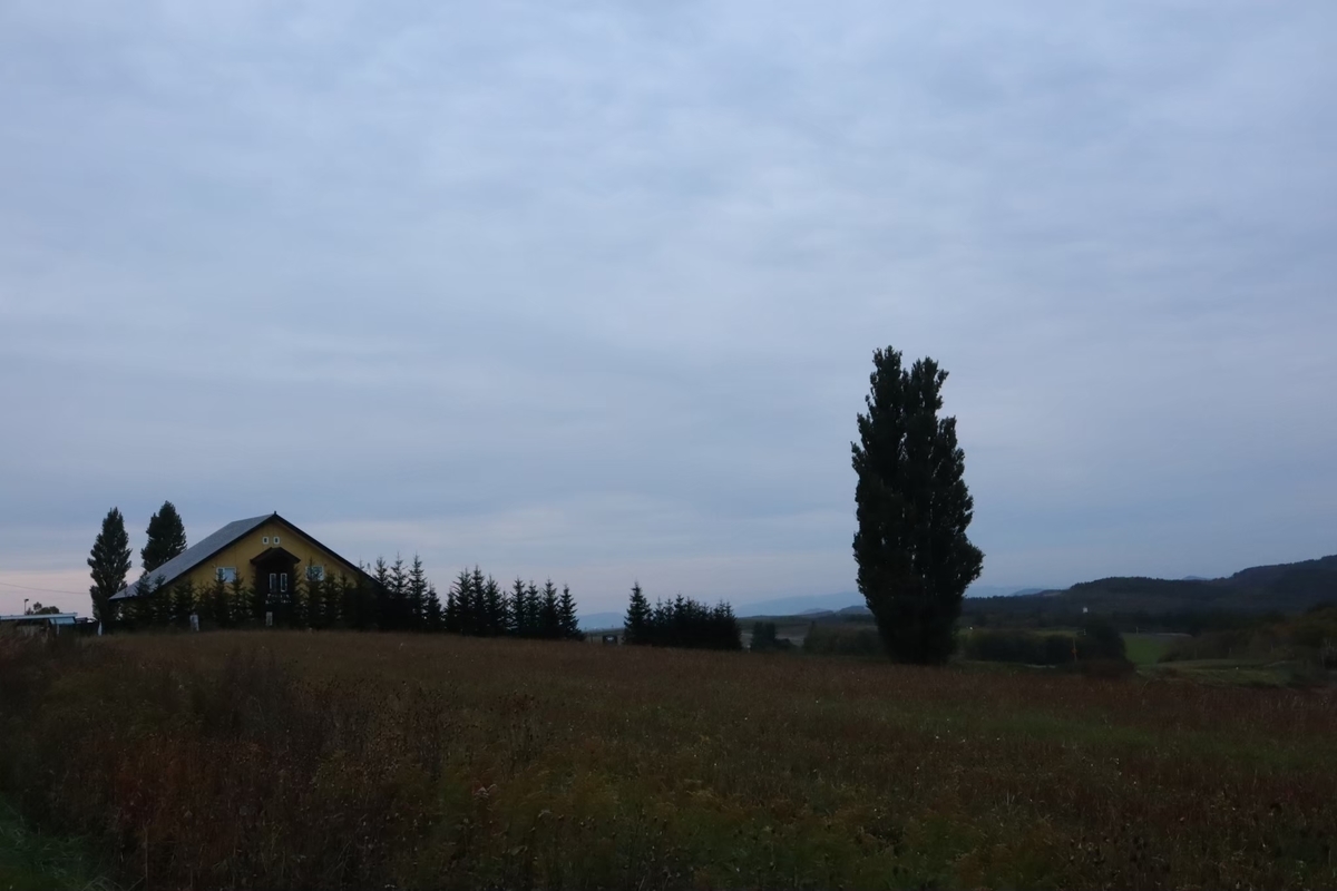 f:id:maharu0905:20200405184105j:plain