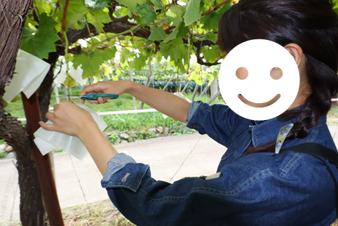 f:id:maharu0905:20201024163838p:plain