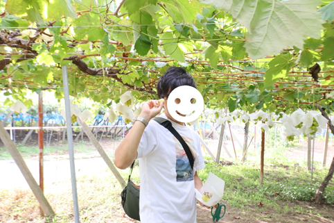 f:id:maharu0905:20201024163940p:plain