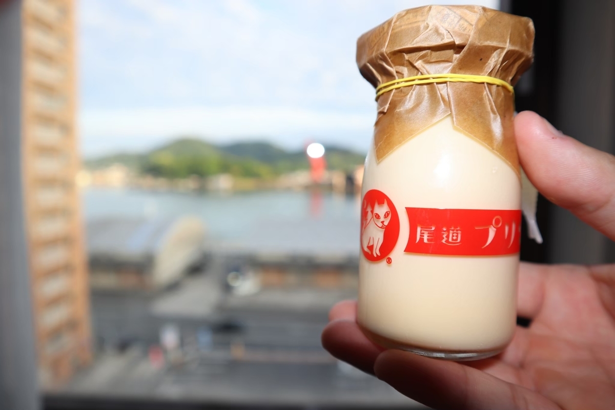 f:id:maharu0905:20210102132739j:plain