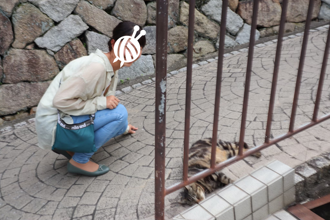 f:id:maharu0905:20210102141920p:plain