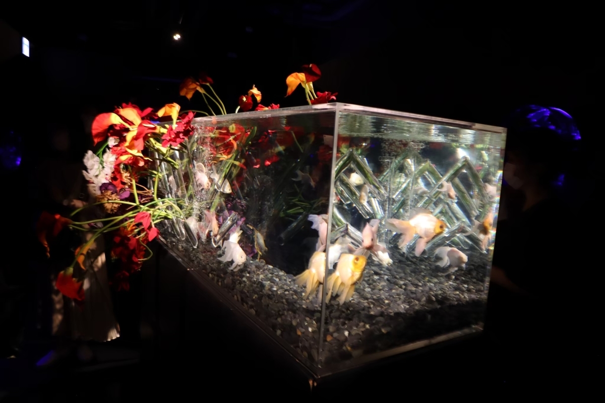 f:id:maharu0905:20210103120528j:plain