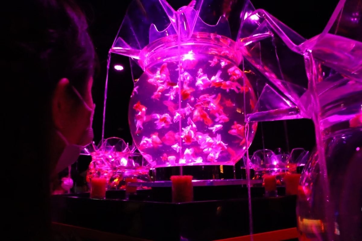 f:id:maharu0905:20210103120553j:plain