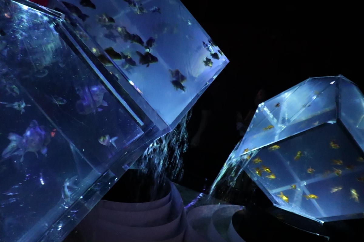 f:id:maharu0905:20210103120747j:plain