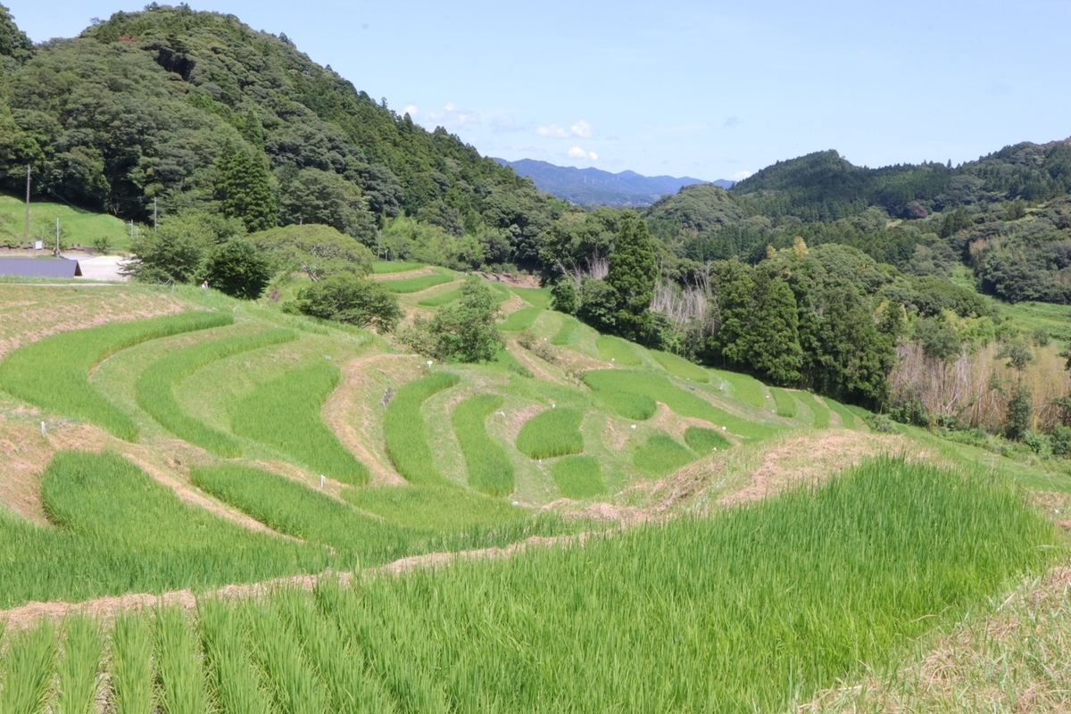 f:id:maharu0905:20210809220202j:plain