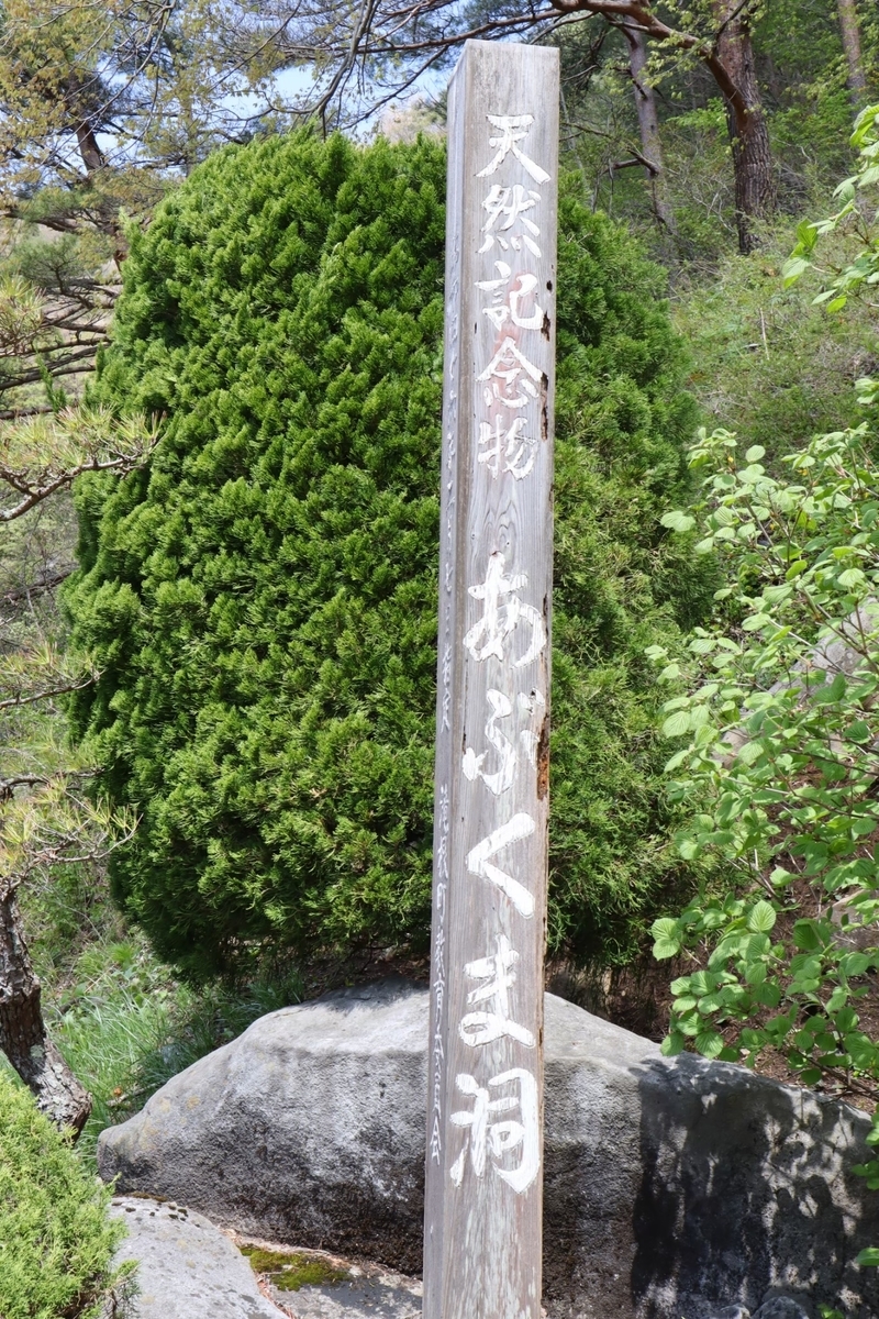 f:id:maharu0905:20210811172847j:plain