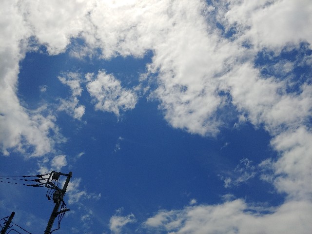 f:id:mahironron24:20220719104124j:image f:id:mahironron24:20220719104124j:image