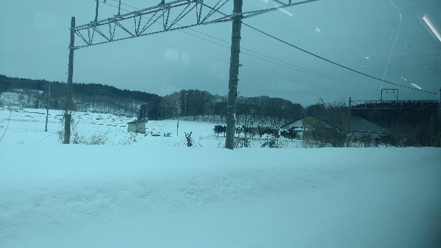 f:id:mahirublog:20230224125811j:image