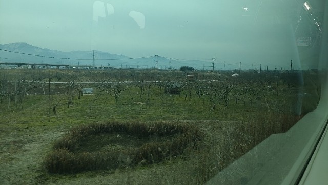 f:id:mahirublog:20230224131632j:image