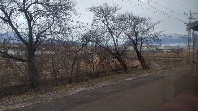f:id:mahirublog:20230224162657j:image
