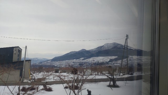 f:id:mahirublog:20230224170056j:image