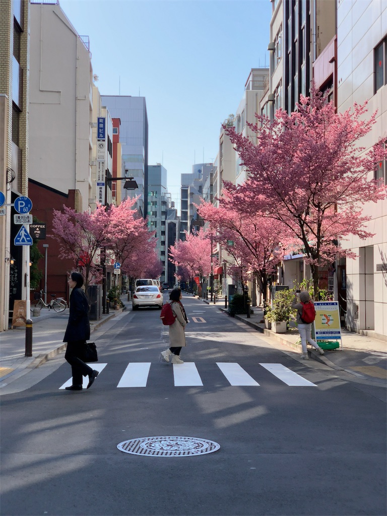 f:id:mahko2:20190310234954j:image