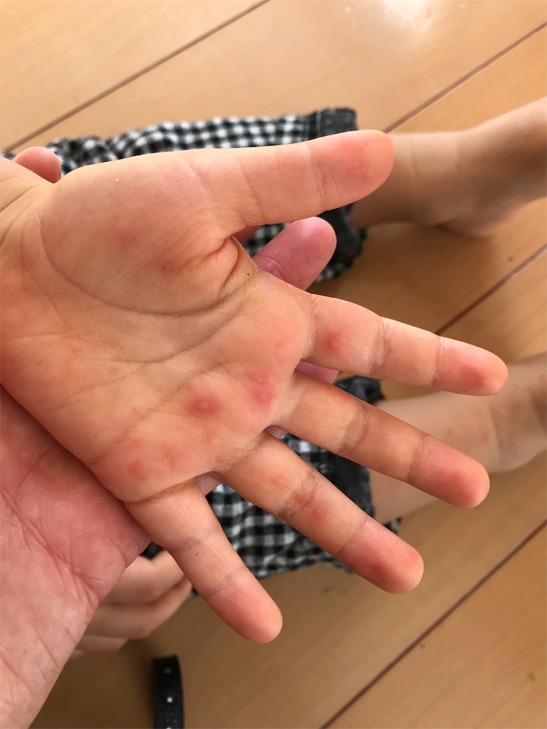 f:id:mahomare:20191112104223j:image