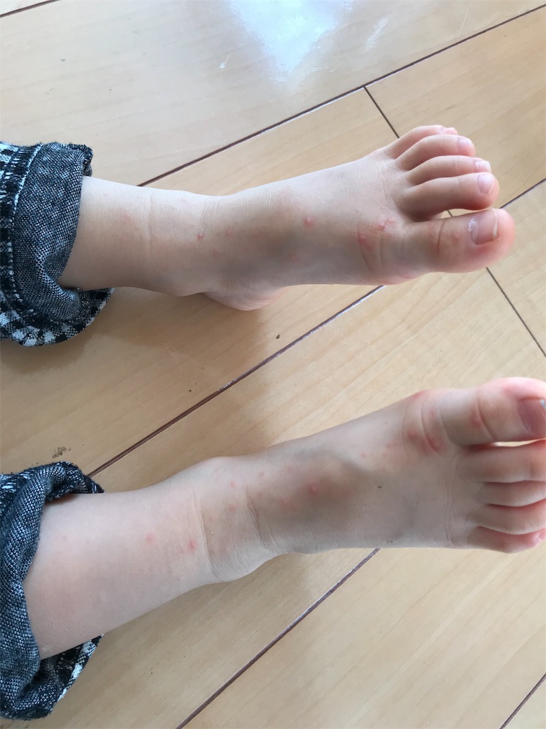 f:id:mahomare:20191112104235j:image
