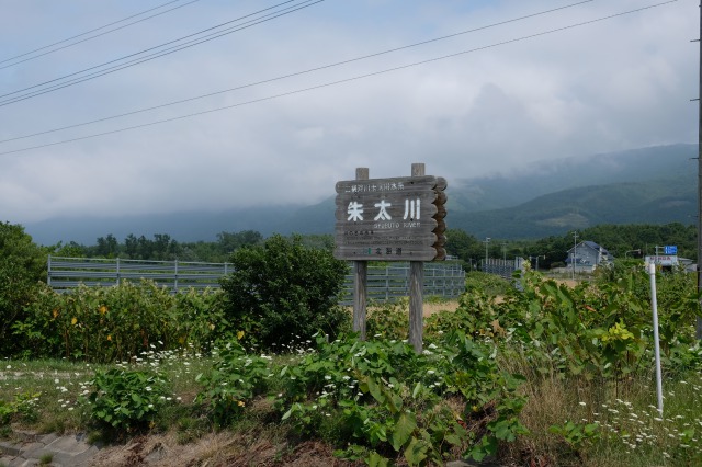 f:id:mahomimi:20191021232225j:plain