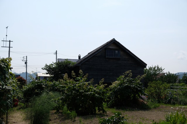 f:id:mahomimi:20191021234227j:plain