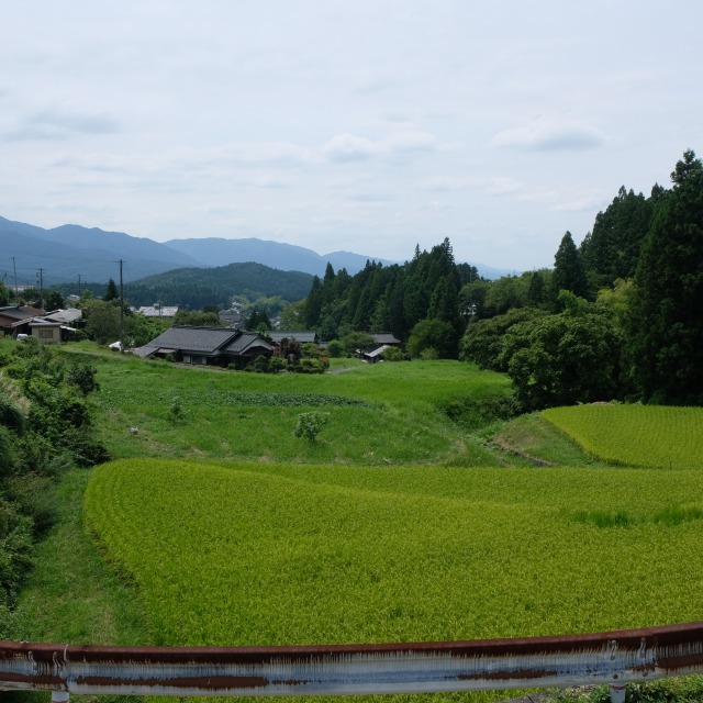 f:id:mahomimi:20191028124118j:plain