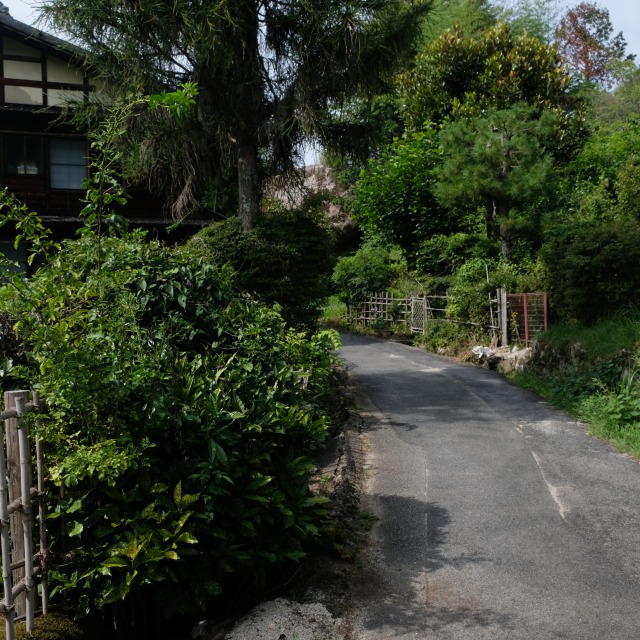 f:id:mahomimi:20191029140423j:plain