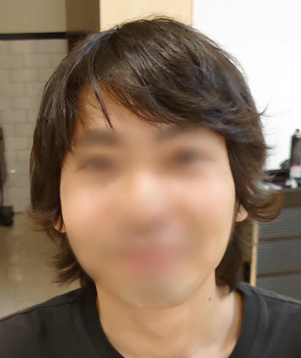 f:id:mahopis:20200629091033j:plain f:id:mahopis:20200629091033j:plain