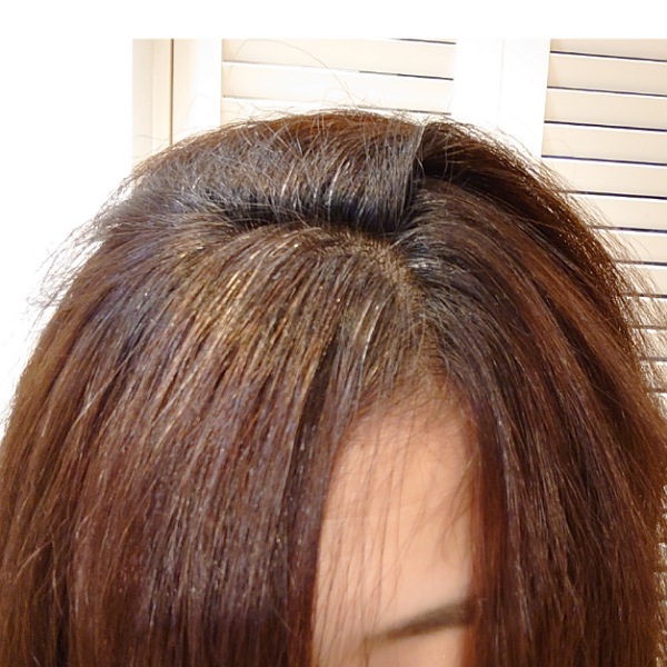 f:id:mahopis:20200707182457j:plain f:id:mahopis:20200707182457j:plain