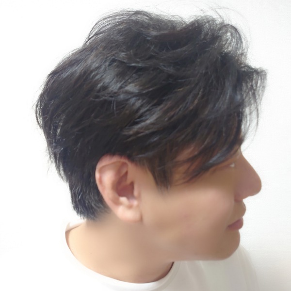 f:id:mahopis:20200808212702j:plain f:id:mahopis:20200808212702j:plain