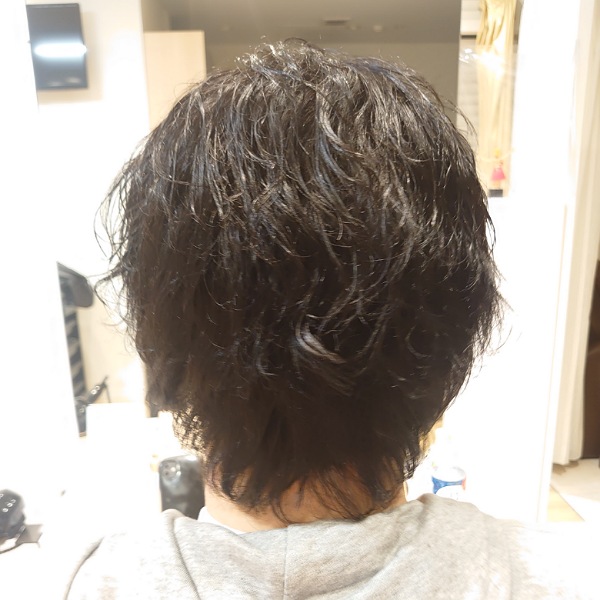 f:id:mahopis:20210209172511j:plain