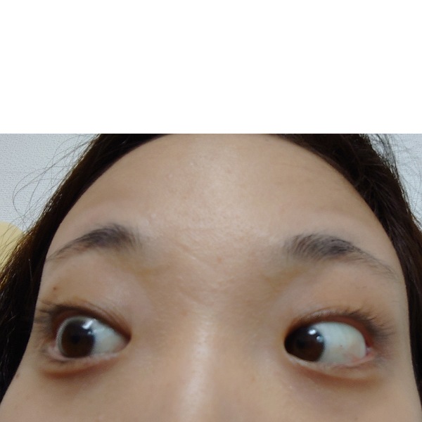 f:id:mahopis:20210322121237j:plain