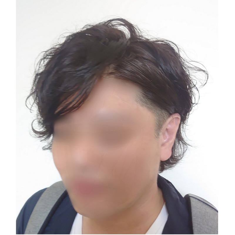 f:id:mahopis:20210420125523j:plain