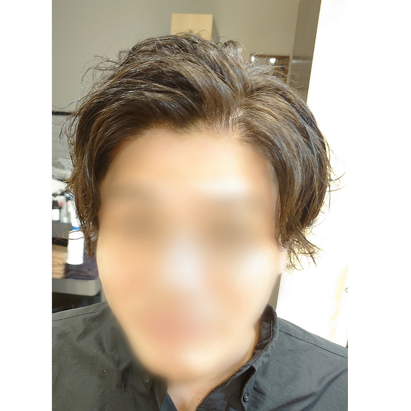 f:id:mahopis:20210420125535j:plain