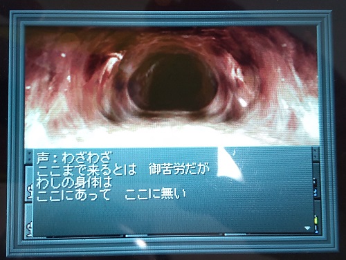 f:id:mahoro_vesper:20211210235400j:plain
