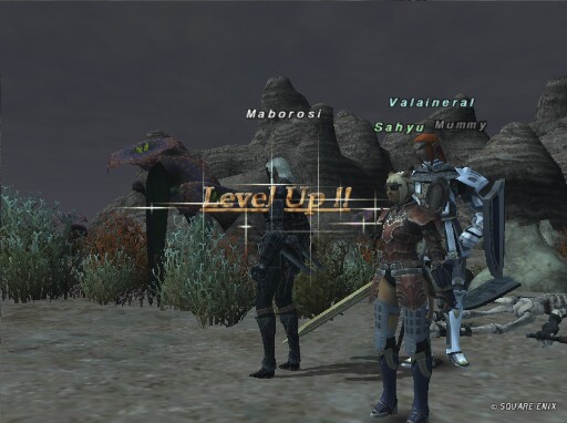 ＦＦ１１日記：シュ・メーヨ海の塩、たくさん持ってったのに１つしか使わなくてしょんぼり
