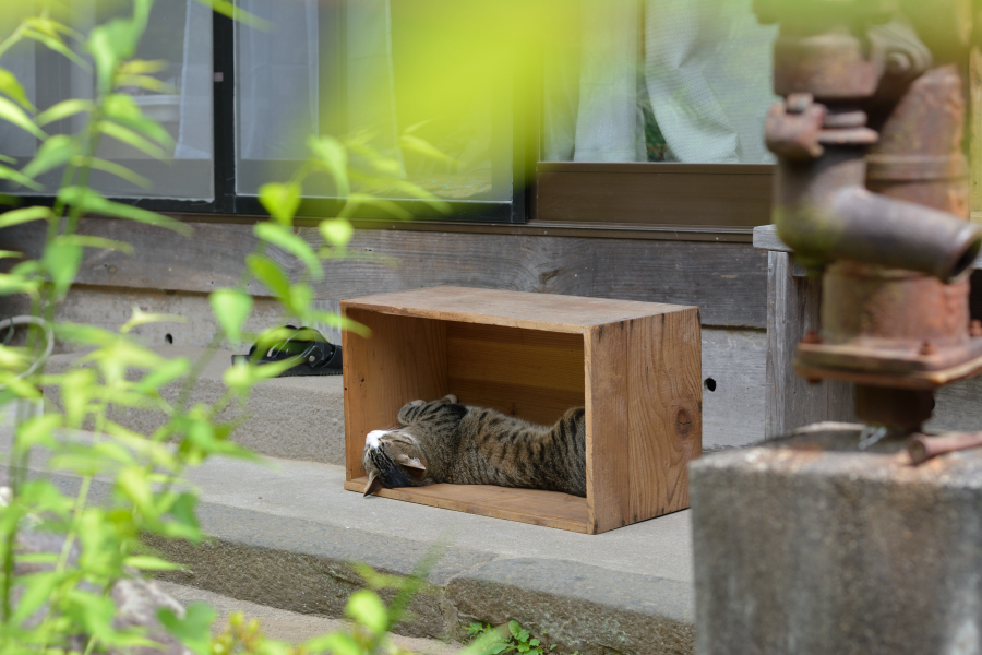 f:id:mahorobamaru:20190609230048j:plain