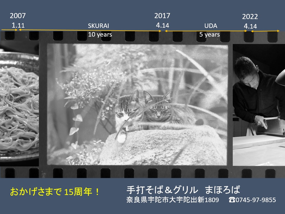 f:id:mahorobamaru:20220320110844j:plain