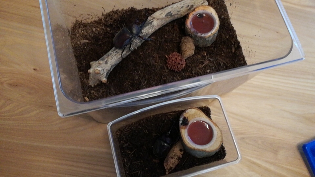 f:id:mahoroban:20180711214102j:plain f:id:mahoroban:20180711214102j:plain