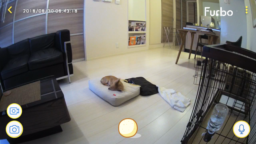 f:id:mahoteddy:20180905182735p:plain