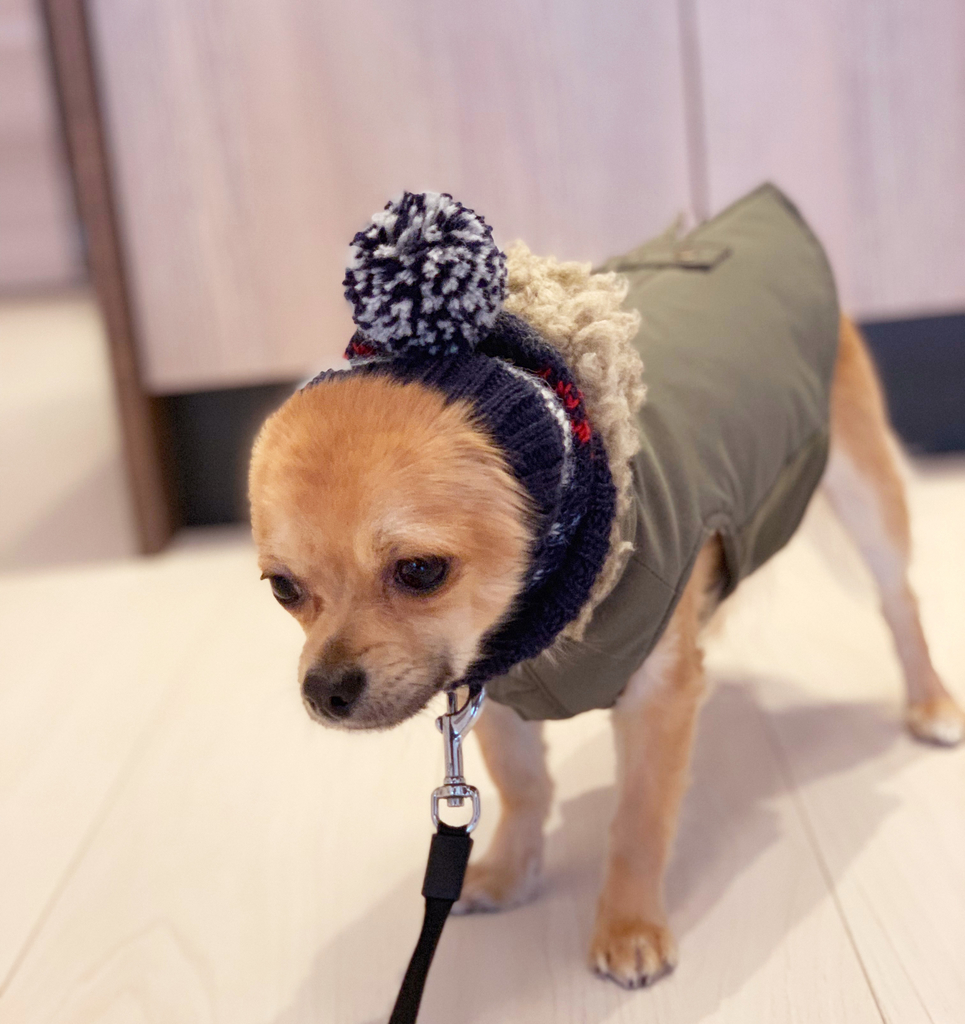 mani_winter