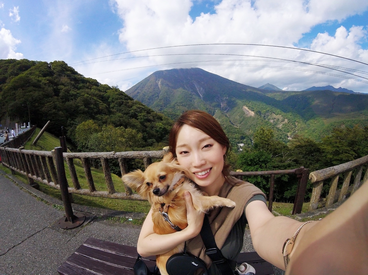 f:id:mahoteddy:20191015195010j:plain f:id:mahoteddy:20191015195010j:plain