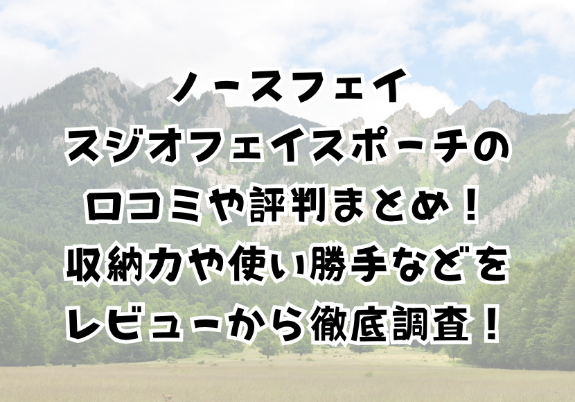 ジオフェイスポーチ レビュー 日常使いにちょうどいい ノースフェイス ジオフェイスポーチ は買ってよかった褒められバッグ