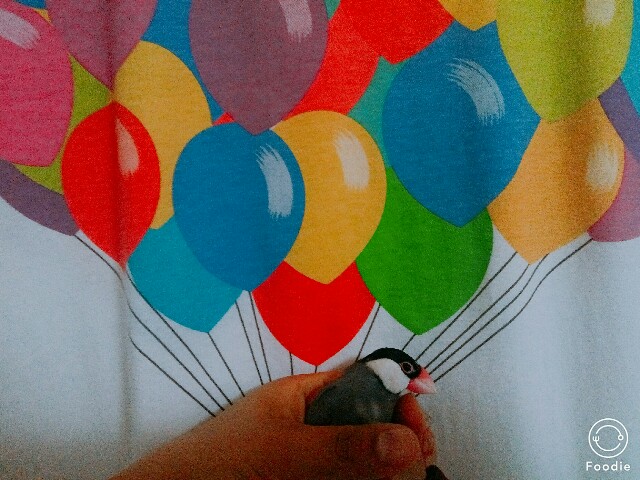 f:id:mai-balloon:20180207230408j:image f:id:mai-balloon:20180207230408j:image