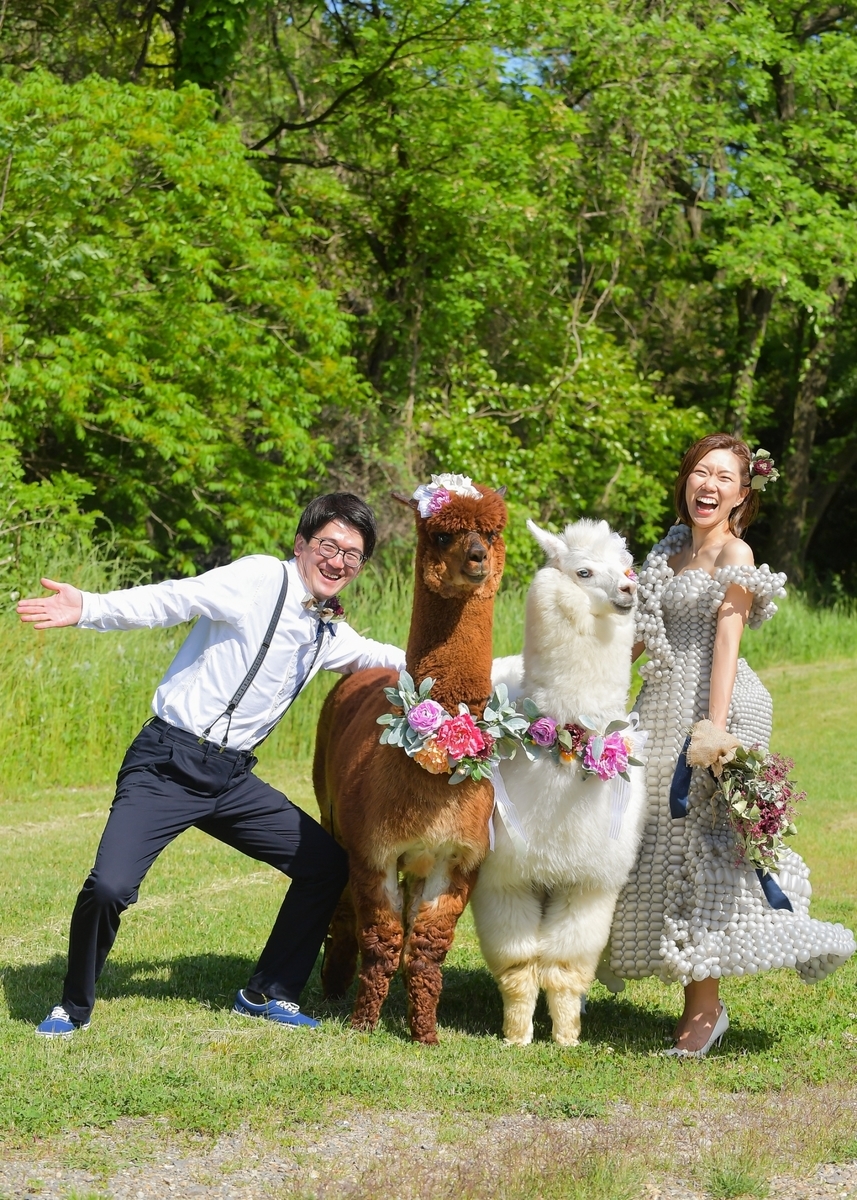 f:id:mai-balloon:20200601141817j:plain