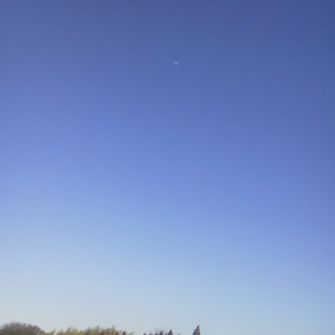 空がきれい(*^ー^)ノ♪