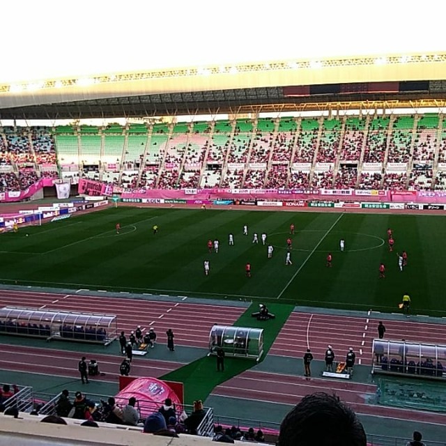 f:id:mai1986:20190310143151j:plain f:id:mai1986:20190310143151j:plain