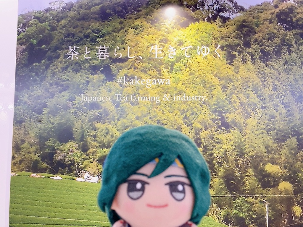 f:id:mai88765:20251103123957j:image